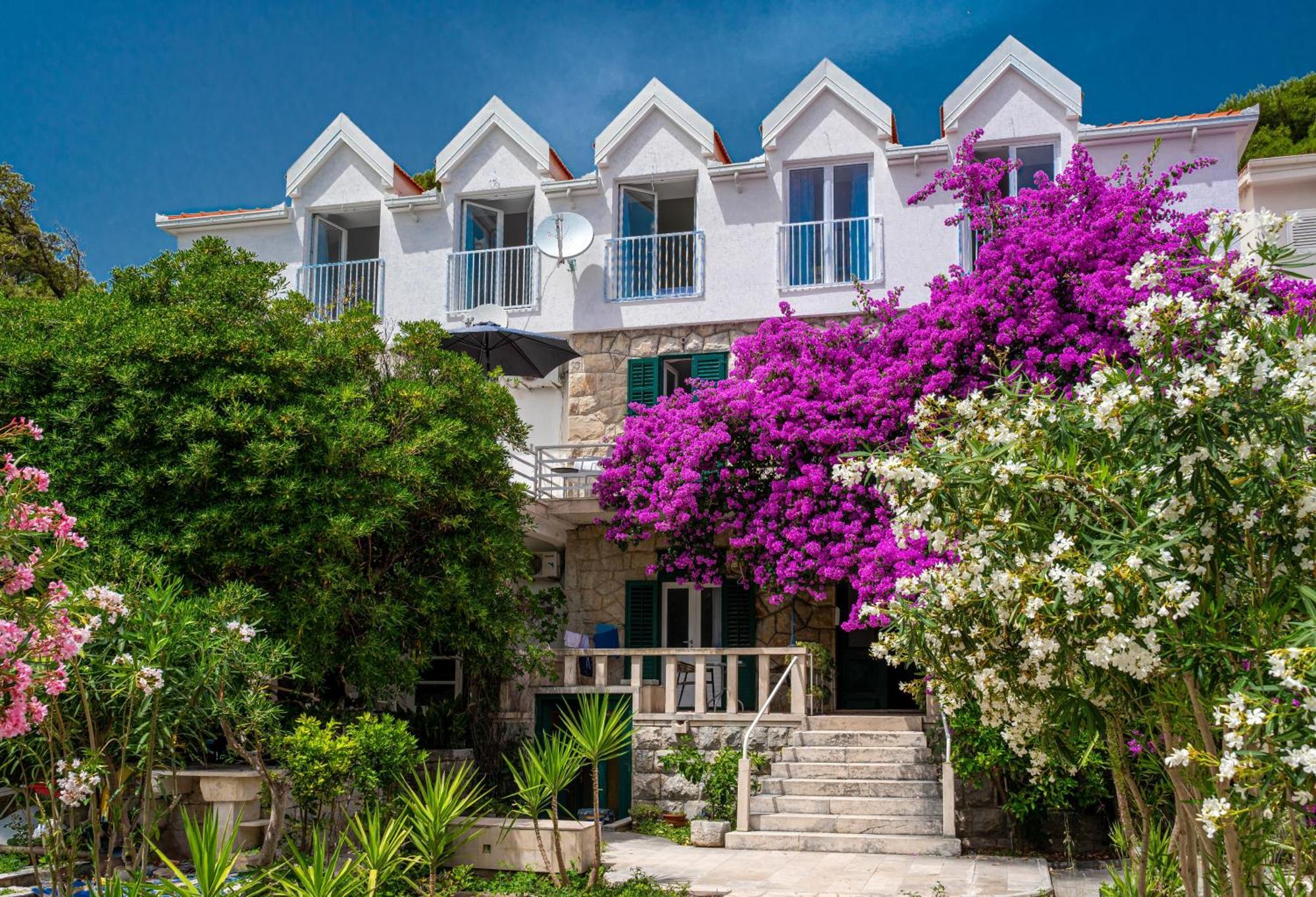 Aurora Beachfront Luxury Rooms&Suites เบรลา ภายนอก รูปภาพ